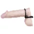 You2Toys - kovový erekční kroužek na penis a varlata