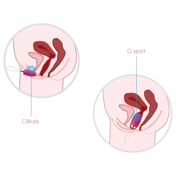Svakom Elva - vibrační vajíčko na dálkové ovládání - dobíjecí - červené