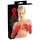 LATEX - unisex dlouhé rukavice - latex - červené - L