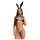 Obsessive Night Bunny - čtyřdílný králičí kostým pro ženy (černý)