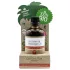 Coconutoil - bio intimní a masážní olej 80 ml