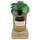 Coconutoil - bronzovací olej na tělo - bio - 80 ml