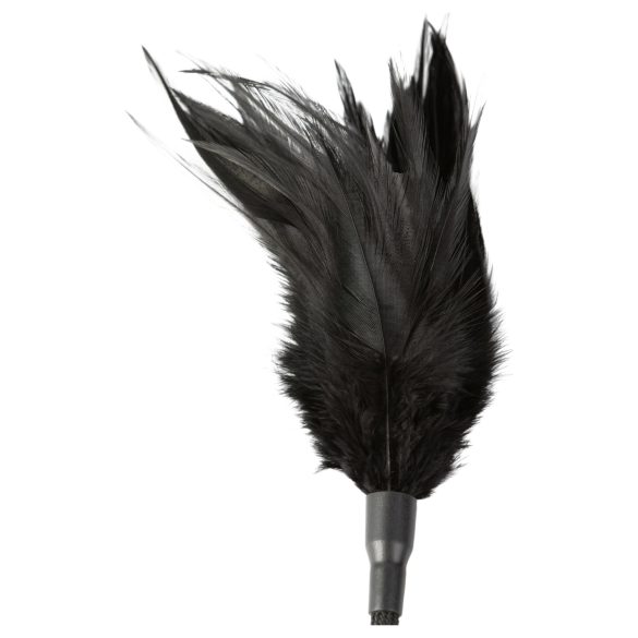 Sei Mio - černý bičík a hladítko