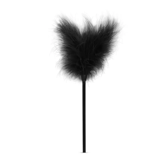 Secret Pleasure Chest - sada pro pokročilé BDSM - 14 dílů - černá