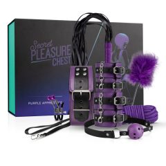 Secret Pleasure Chest Pokročilá BDSM sada (14 dílů)