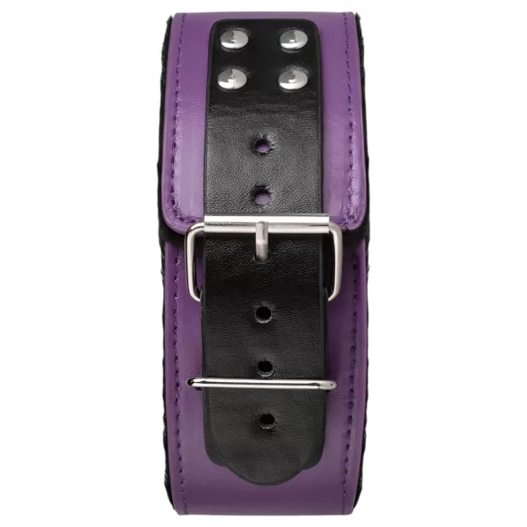 Secret Pleasure Chest - pokročilá BDSM sada (14dílná)