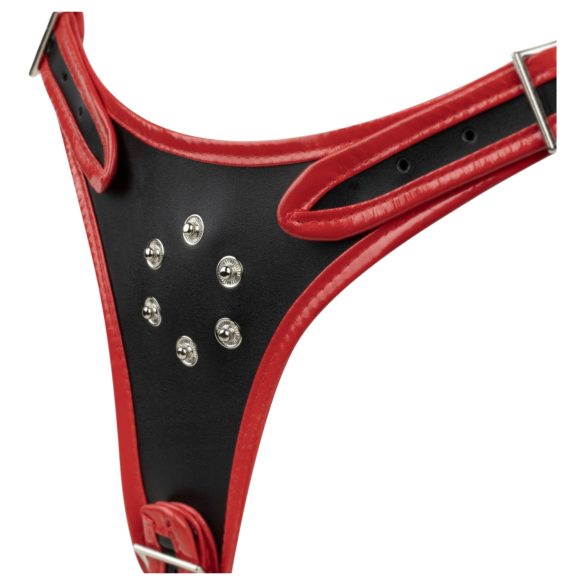 Easytoys - připínací kalhotky s trojitým dildem - černé